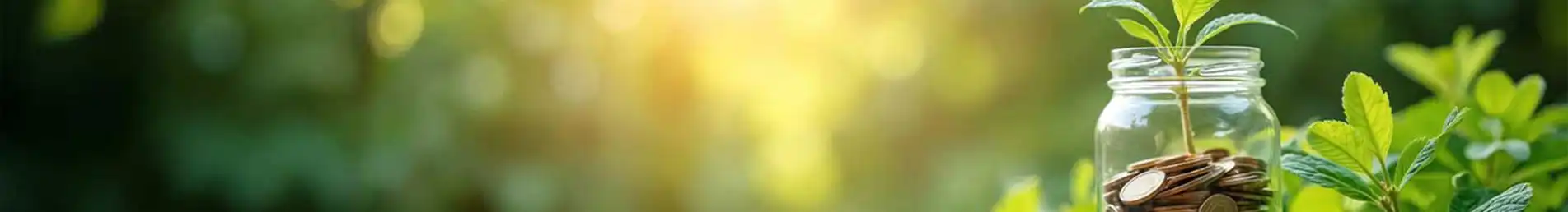 Energieberater FFB Georg Gerum Förderungen Header Fürstenfeldbruck